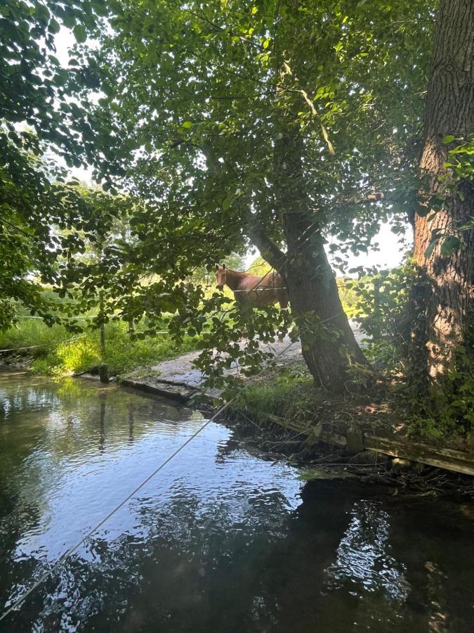 Gite « Le Moulin » A 2 Pas De La Mer Saint-Martin-le-Gaillard Dış mekan fotoğraf